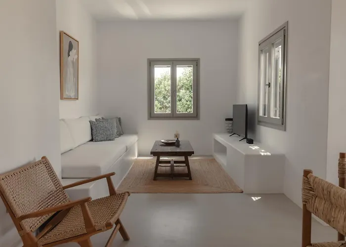 Siora Of Paros - Two 别墅